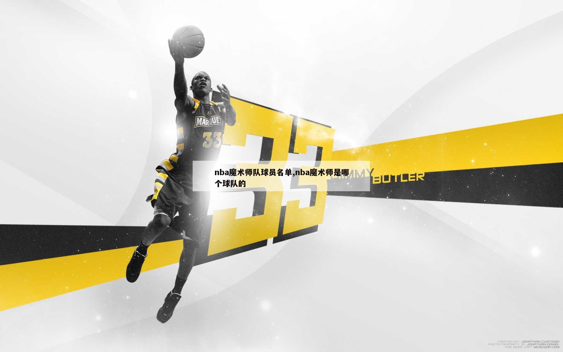 nba魔术师队球员名单,nba魔术师是哪个球队的